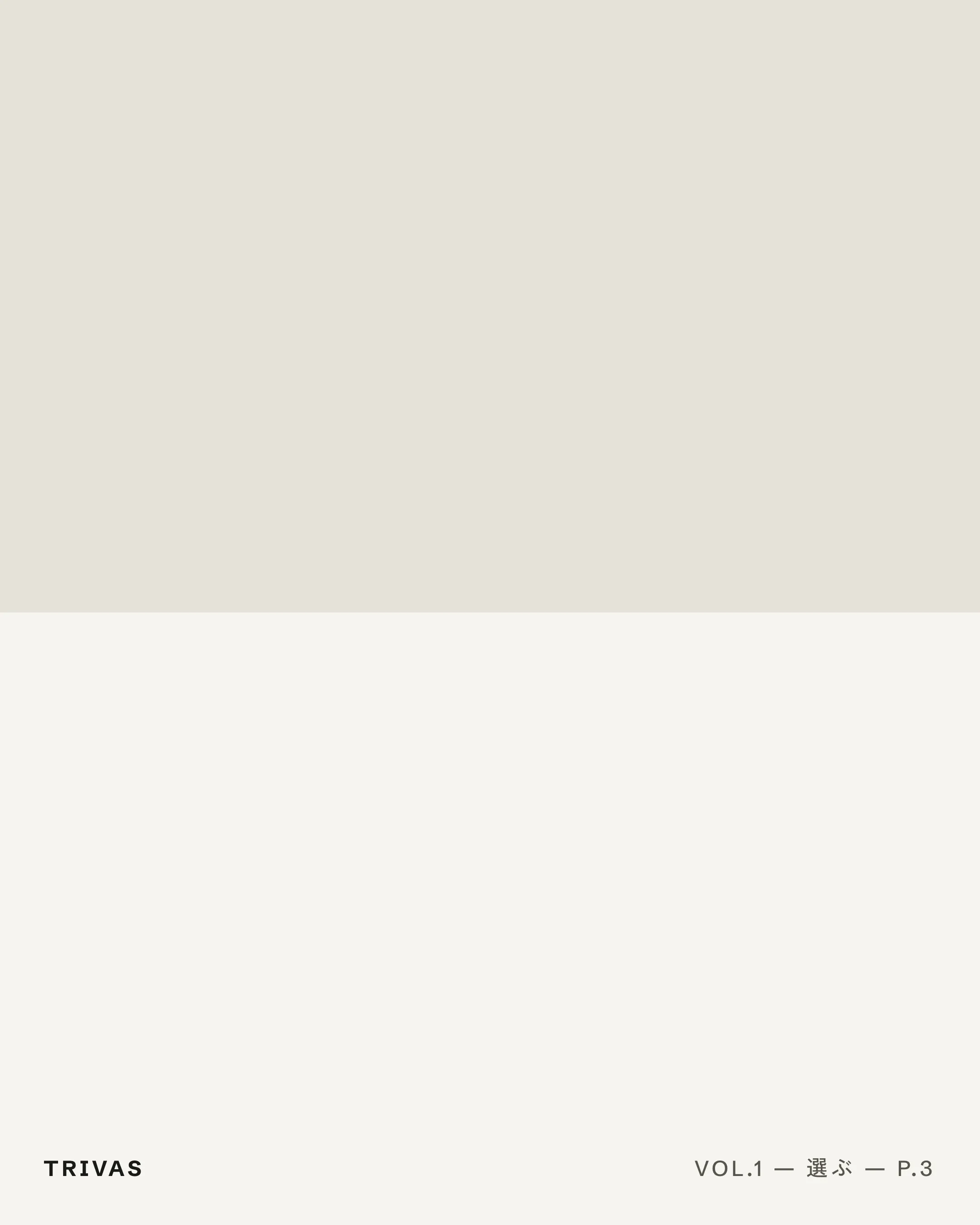 VOL.1 P.3 — ESSAY